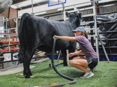 Last minute preparations before fair opens Saturday